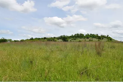 Tbd C Two Bush Road, Perrin, TX 76486 - Photo 23