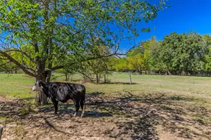 1586 Co Rd 4133, Cumby, TX 75433 - Photo 17