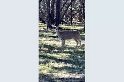 177 Highline Road, Valley Mills, TX 76689 - Photo 1