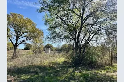 Tbd Fm 1512, Jewett, TX 75846 - Photo 5