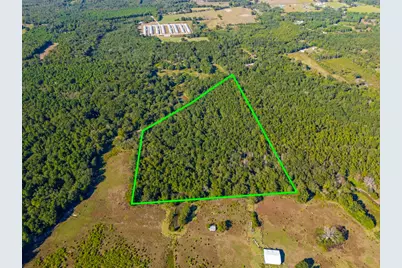 Tbd County Road 3324, 24 Ac, Pittsburg, TX 75686 - Photo 5