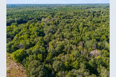 Tbd County Road 3324, 24 Ac, Pittsburg, TX 75686 - Photo 11