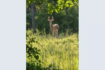 546 County Road 4147, Cranfills Gap, TX 76637 - Photo 33