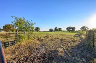 6101 Wild Cat Knob Rd, Tolar, TX 76476 - Photo 31
