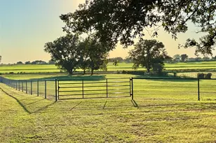 6101 Wild Cat Knob Rd, Tolar, TX 76476 - Photo 1