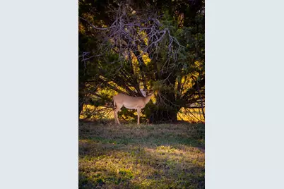 2025 Jesses Run Road, Graford, TX 76449 - Photo 11