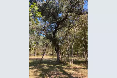 8840 Timber Ridge, LaRue, TX 75770 - Photo 33