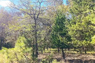 8840 Timber Ridge, LaRue, TX 75770 - Photo 23