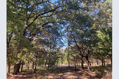 8840 Timber Ridge, LaRue, TX 75770 - Photo 29