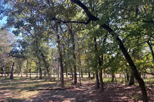 8840 Timber Ridge, LaRue, TX 75770 - Photo 31