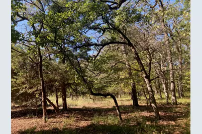 8840 Timber Ridge, LaRue, TX 75770 - Photo 19