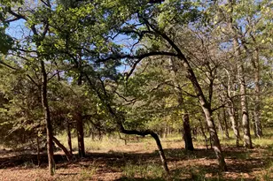 8840 Timber Ridge, LaRue, TX 75770 - Photo 19