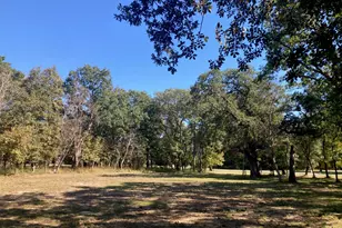 8840 Timber Ridge, LaRue, TX 75770 - Photo 37