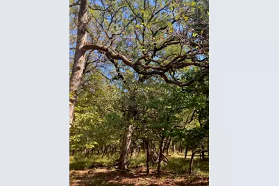 8840 Timber Ridge, LaRue, TX 75770 - Photo 21