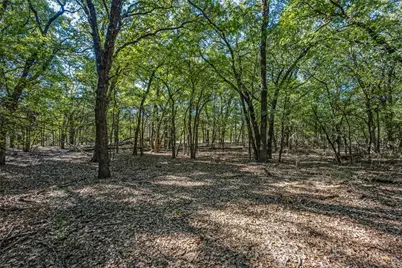 Td Pearce Street, Collinsville, TX 76233 - Photo 1