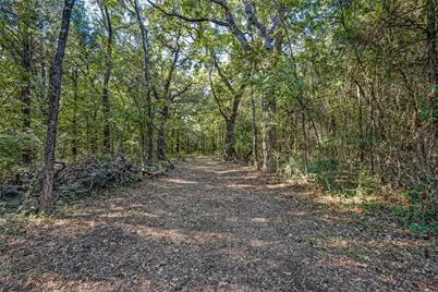 Td Pearce Street, Collinsville, TX 76233 - Photo 3