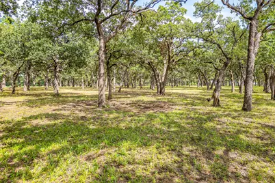 Lot 4 Tbd Orchard Road, Bowie, TX 76230 - Photo 5