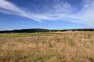 770 Beddo Mountain Rd, Santo, TX 76472 - Photo 1