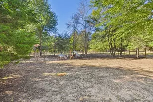 9480 Double Bridge Rd, Payne Springs, TX 75156 - Photo 13