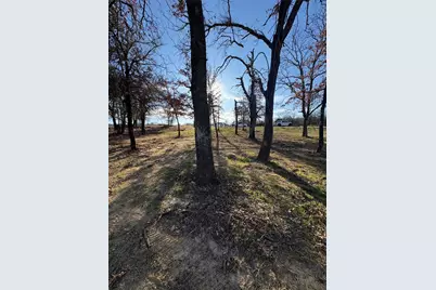 293 Zebrastone Way, Poolville, TX 76487 - Photo 7