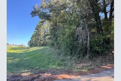 8289 St Hwy 155, Frankston, TX 75763 - Photo 7