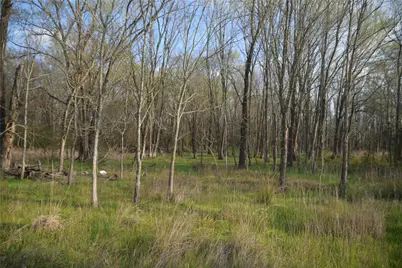 9781 S US Hwy 79 Highway, Palestine, TX 75801 - Photo 11