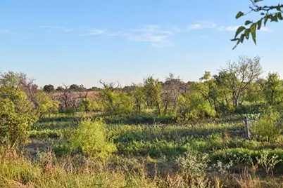 9672 Fm 175 Henrietta, No City, TX 76365 - Photo 27