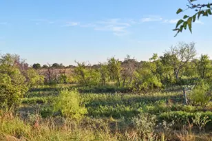 9672 Fm 175 Henrietta, No City, TX 76365 - Photo 27
