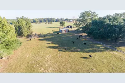 2529 W Highway 11, Pittsburg, TX 75686 - Photo 7