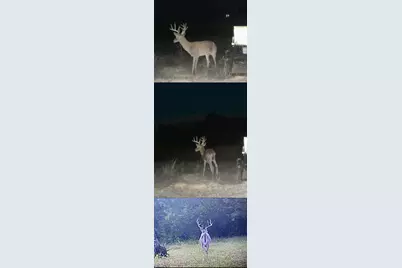 2704 Fm 2490, Clifton, TX 76634 - Photo 39