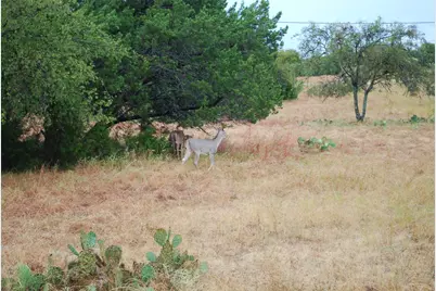 42201 Preston Trail, Whitney, TX 76692 - Photo 3