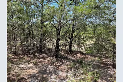 11Ac Pilot Grove Road, Whitewright, TX 75491 - Photo 3