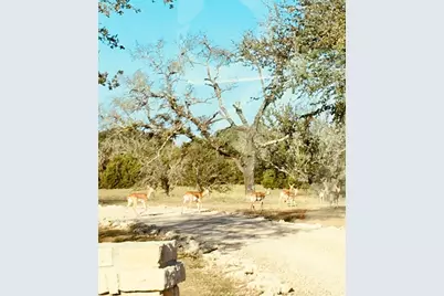 1301 Private Road 2120, Meridian, TX 76665 - Photo 7