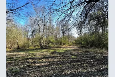 Tbd Cr 3324, Pittsburg, TX 75686 - Photo 11