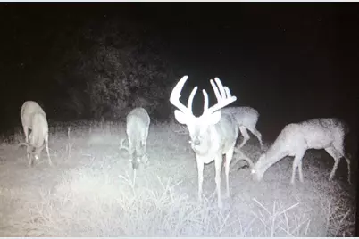 711 County Road 44190, Powderly, TX 75473 - Photo 39