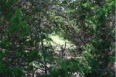 11030 Juniper Drive, Whitney, TX 76692 - Photo 3