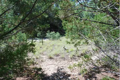 11030 Juniper Drive, Whitney, TX 76692 - Photo 9