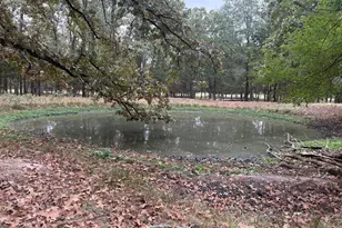 1150 County Rd 43900, Paris, TX 75462 - Photo 5