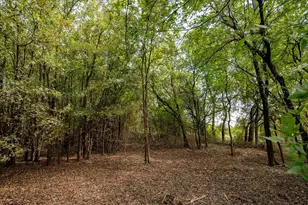 Tbd County Road 936, Anna, TX 75409 - Photo 1