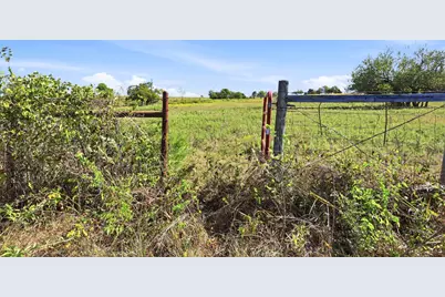 16947 Tba 01 County Road 617, Farmersville, TX 75442 - Photo 19