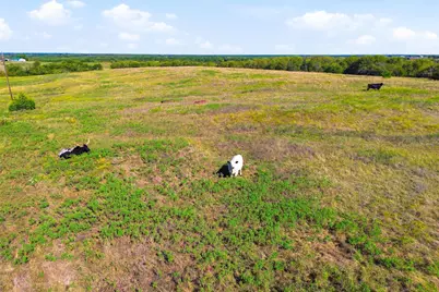16947 Tba 01 County Road 617, Farmersville, TX 75442 - Photo 13
