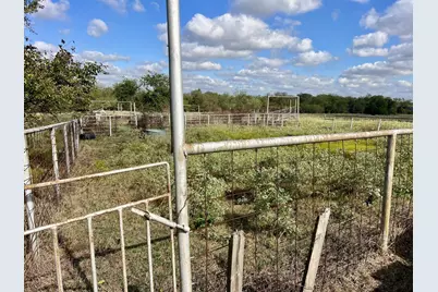 Tbd Lcr 654, Thornton, TX 76687 - Photo 15