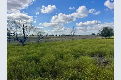 Tbd Lcr 654, Thornton, TX 76687 - Photo 23