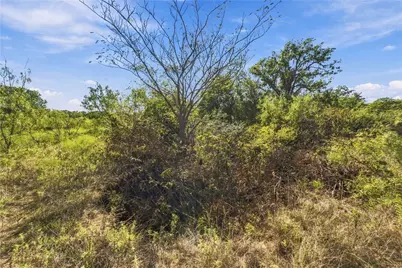 Tract 8 County Road 3671, Paradise, TX 76073 - Photo 13