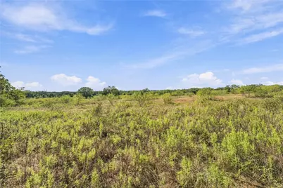 Tract 8 County Road 3671, Paradise, TX 76073 - Photo 11