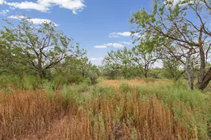 326 Co Rd 256, Abilene, TX 79606 - Photo 35