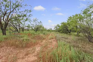 326 Co Rd 256, Abilene, TX 79606 - Photo 39