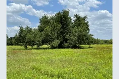 2040 Canyon Ranch Road, Palo Pinto, TX 76484 - Photo 3