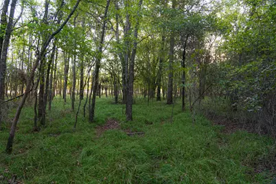 902 Vz County Road 3710, Edgewood, TX 75117 - Photo 29