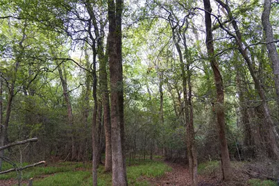 902 Vz County Road 3710, Edgewood, TX 75117 - Photo 31